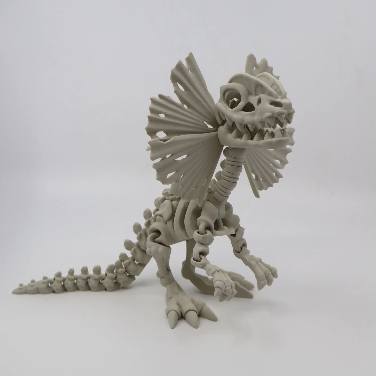 3D printed Dilophosaurus dinosaur skeleton sensory toy with frilled neck on white background