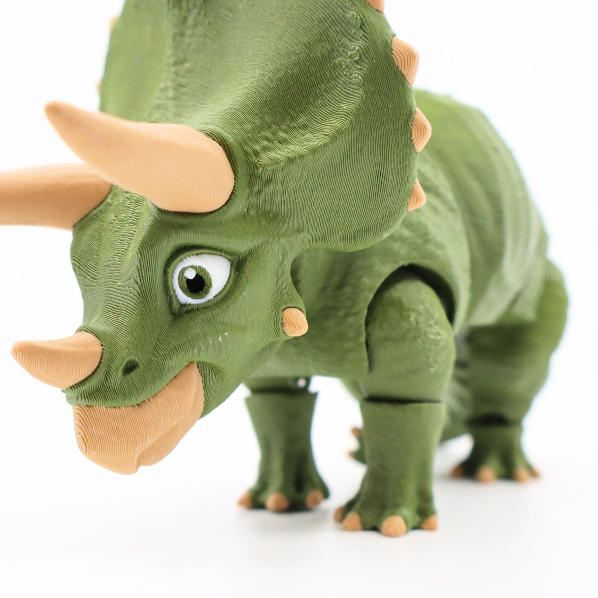Triceratops