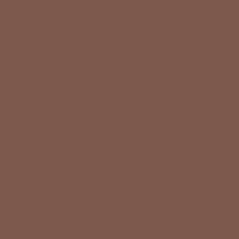 solid brown square, plain background, neutral sensory-friendly color