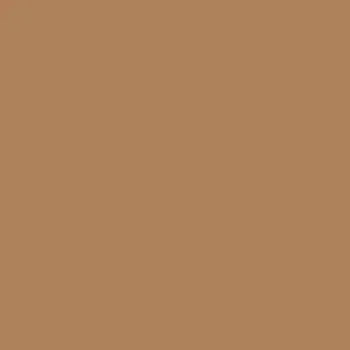 solid light brown background, blank square, neutral color swatch for design or sensory use