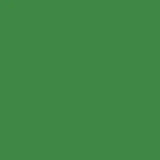 solid green square background, blank placeholder image