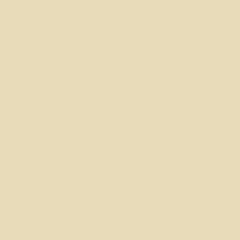 solid light beige square, plain background, neutral color swatch