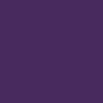 solid dark purple square, blank background, suitable for sensory toy display placeholder