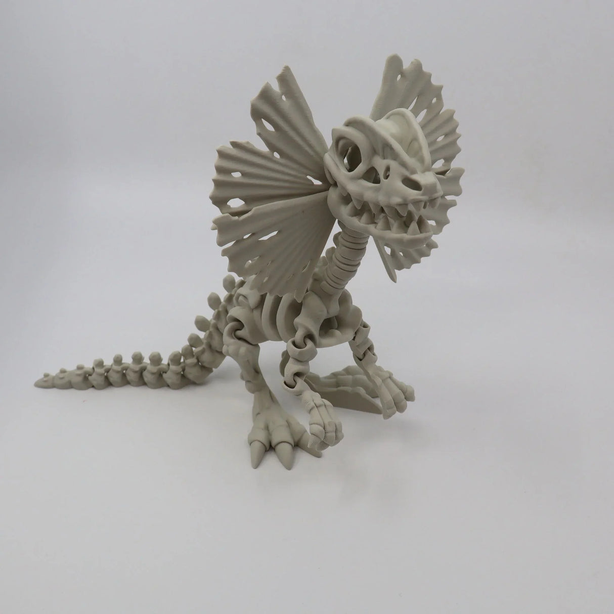 3D printed Dilophosaurus dinosaur skeleton sensory toy with frilled neck on white background