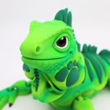 Large Iguana - Fully Articulated - Lifelike