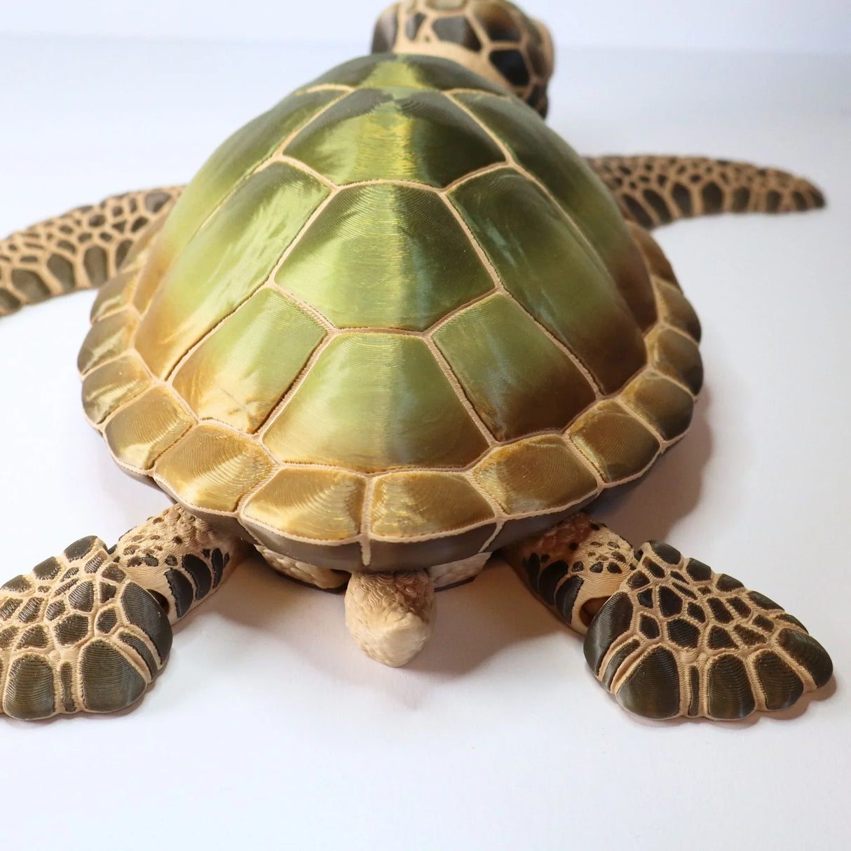 Green and brown 3D printed sea turtle sensory toy on white background
