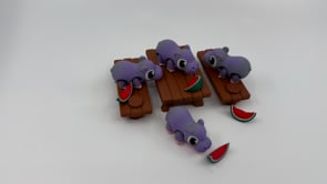 Hippo Picnic
