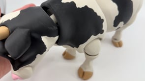 Dairy Cow
