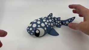 JumboSpottedShark.mov