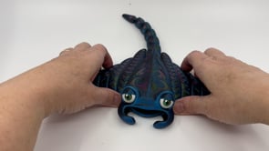 MantaRay.mov