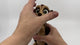 Meerkat.mov