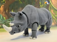 Rhino.mp4