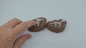 Fossil Clickers