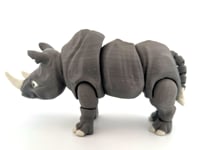 Rhino 360.mp4