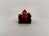 Cardinal Fidgie